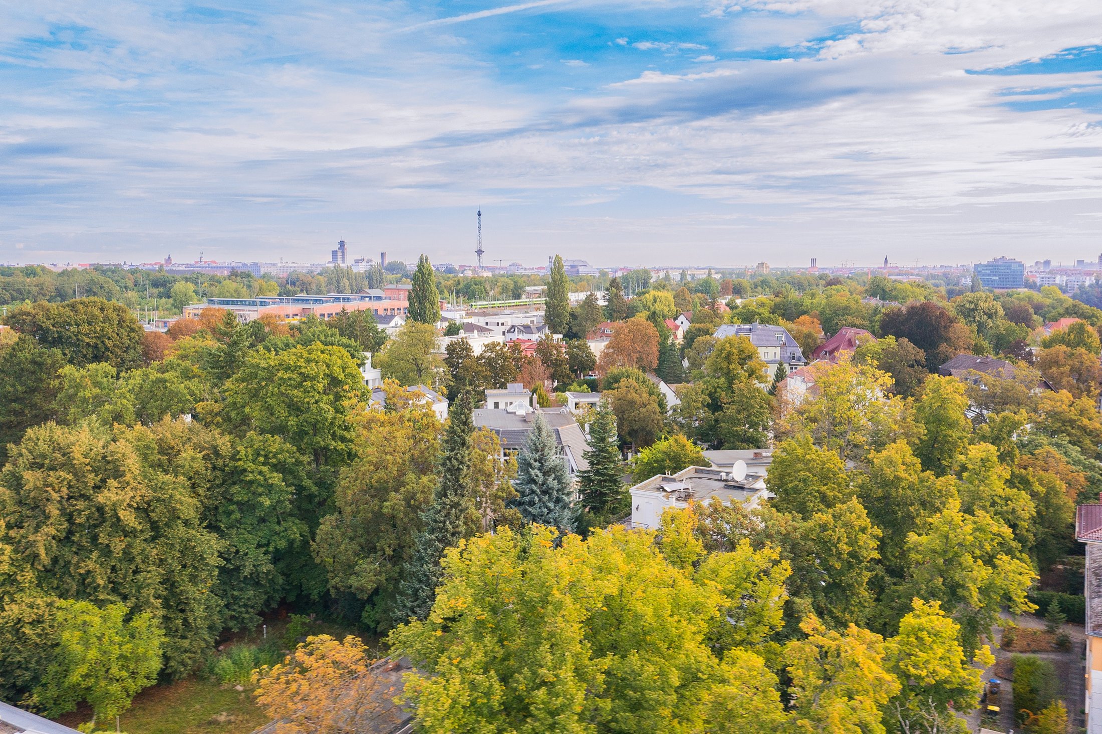 Drohnenaufnahme: herbstliche Baumkronen und Villen mit Blick auf die Berliner Skyline, Projekt Schütze Immobilien