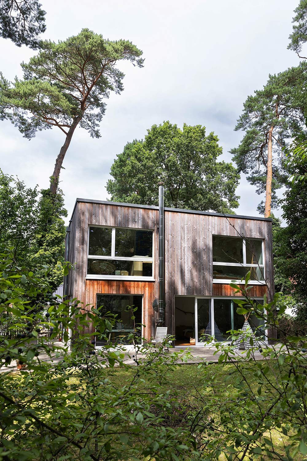 Holzhaus: Außenansicht der Holzfassade mit großen Fenstern zwischen hohen Kiefern