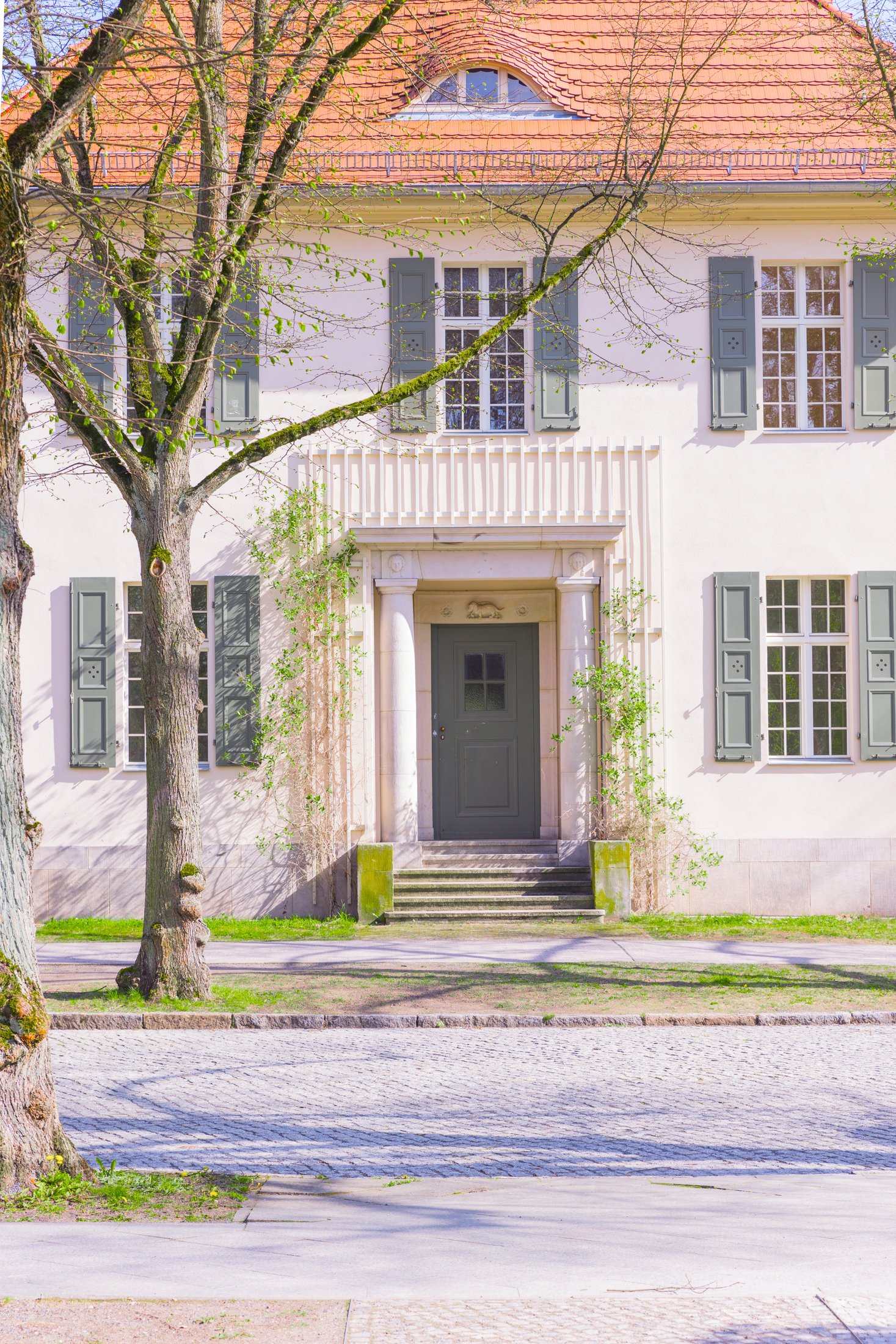 Villa-Eingang mit Säulenportal, Kletterpflanzen und grünen Fensterläden, Projekt Schütze Immobilien